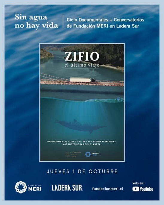 aysen mira el mar